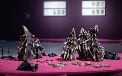 Rianne Groen nodigt uit: De paddenstoel aan het einde van de wereld